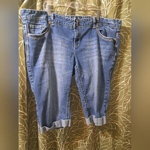 Amethyst Size 24 Blue Denim Shorts